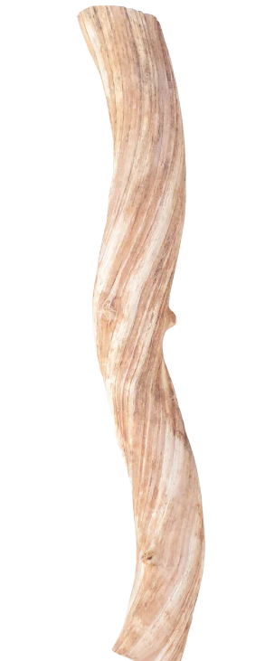 Java Liana Vine Perch